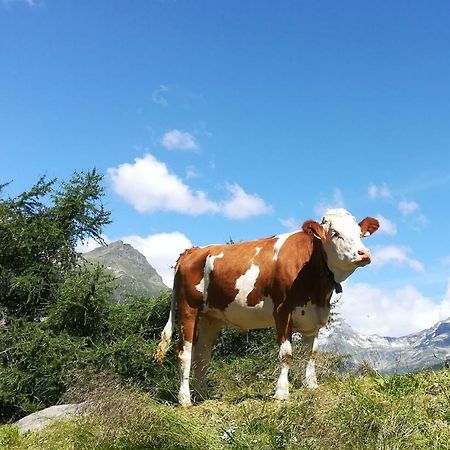 Simiterhof Lejlighed Matrei in Osttirol Eksteriør billede