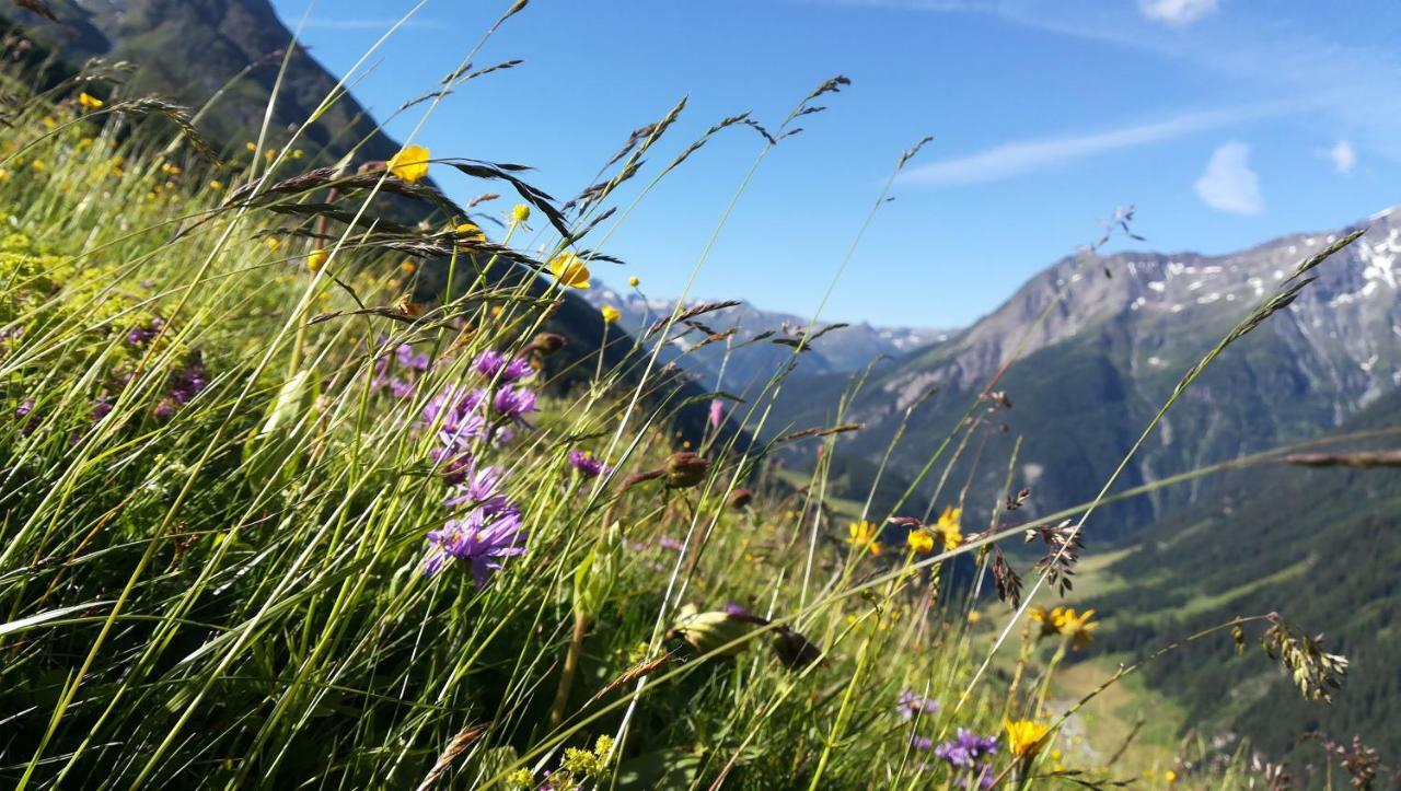 Simiterhof Lejlighed Matrei in Osttirol Eksteriør billede