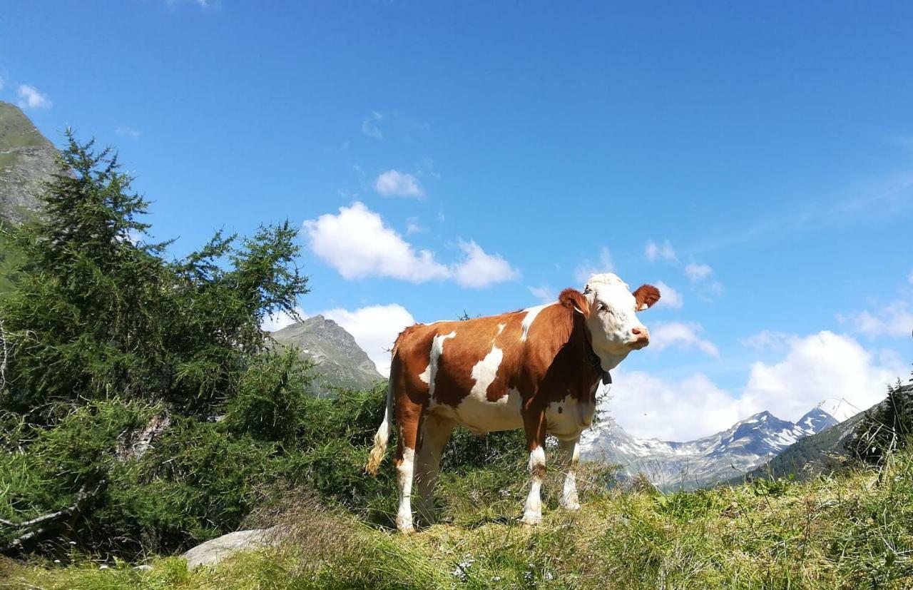 Simiterhof Lejlighed Matrei in Osttirol Eksteriør billede